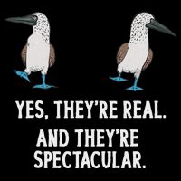 Blue Footed Booby Seabird Boobies Sustainable Bucket Hat