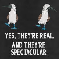 Blue Footed Booby Seabird Boobies 25L Jumbo Tote