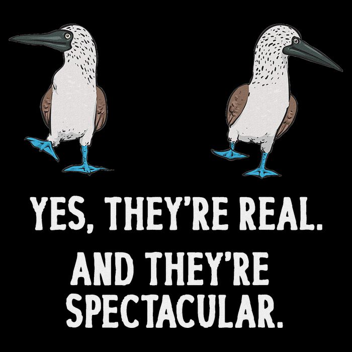 Blue Footed Booby Seabird Boobies Kids T-Shirt