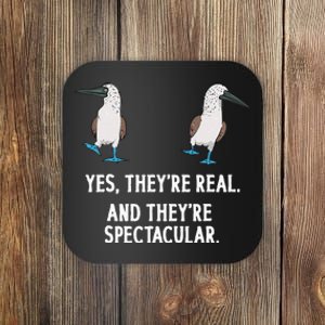 Blue Footed Booby Seabird Boobies Coaster