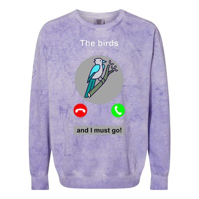 Birding Funny Bird Watcher Bird Lover Gift Colorblast Crewneck Sweatshirt