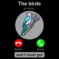 Birding Funny Bird Watcher Bird Lover Gift Premium T-Shirt