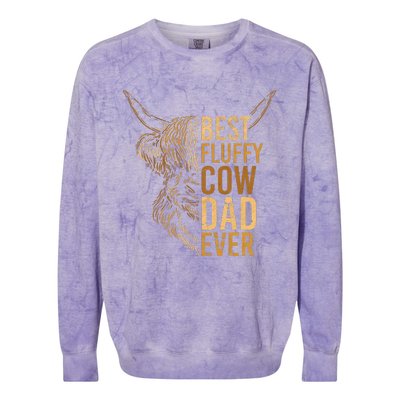 Best Fluffy Cow Dad Ever Scottish Highland Cow Breeder Colorblast Crewneck Sweatshirt