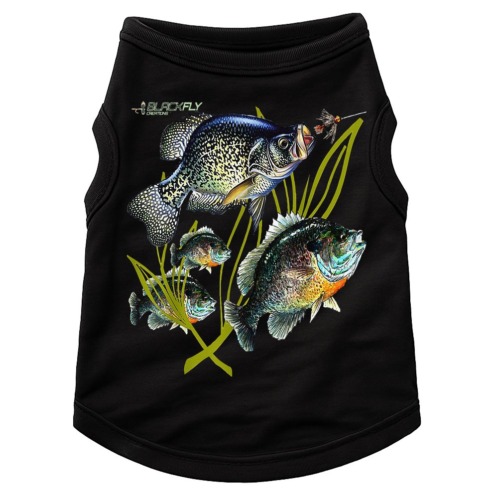 Black Fly Crappie Bluegill Fishing Panfish Flies Jig Doggie Tank