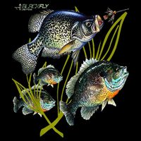 Black Fly Crappie Bluegill Fishing Panfish Flies Jig City Backpack