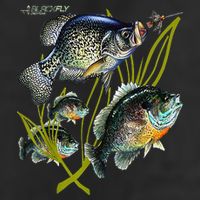 Black Fly Crappie Bluegill Fishing Panfish Flies Jig Adult Drive Performance Visor