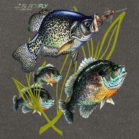 Black Fly Crappie Bluegill Fishing Panfish Flies Jig Cotton Canvas Backpack