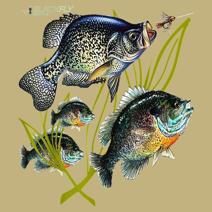 Black Fly Crappie Bluegill Fishing Panfish Flies Jig Cooling Performance Crew T-Shirt