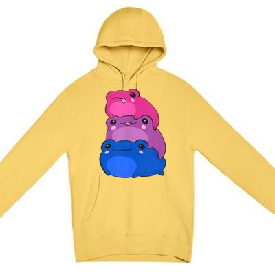 Bisexual Flag Color Frogs Subtle Bi Pride Lgbtq Aesthetic Premium Pullover Hoodie