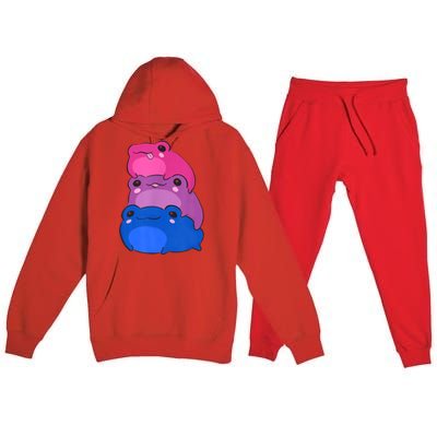 Bisexual Flag Color Frogs Subtle Bi Pride Lgbtq Aesthetic Premium Hooded Sweatsuit Set