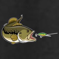 Bass Fish Chasing Lure Hook Fishing Fan Trucker Hat