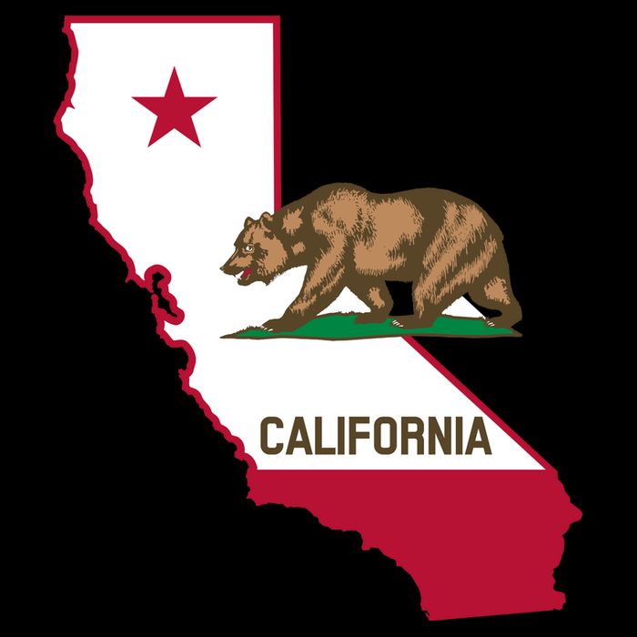 Bear Flag. California Republic State Flag Of California Zip Tote Bag