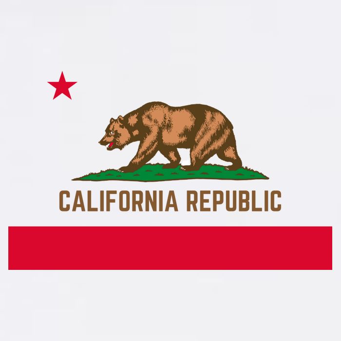 Bear Flag. California Republic State Flag Of California Womens T-Shirt