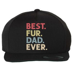 Best Fur Dad Ever Design For Cat Daddy Or Dog Father Wool Snapback Cap