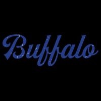 Buffalo Football Distressed Kids Hoodie