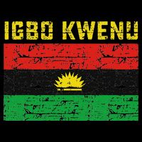 Biafran Flag Design Flat Bill Trucker Hat