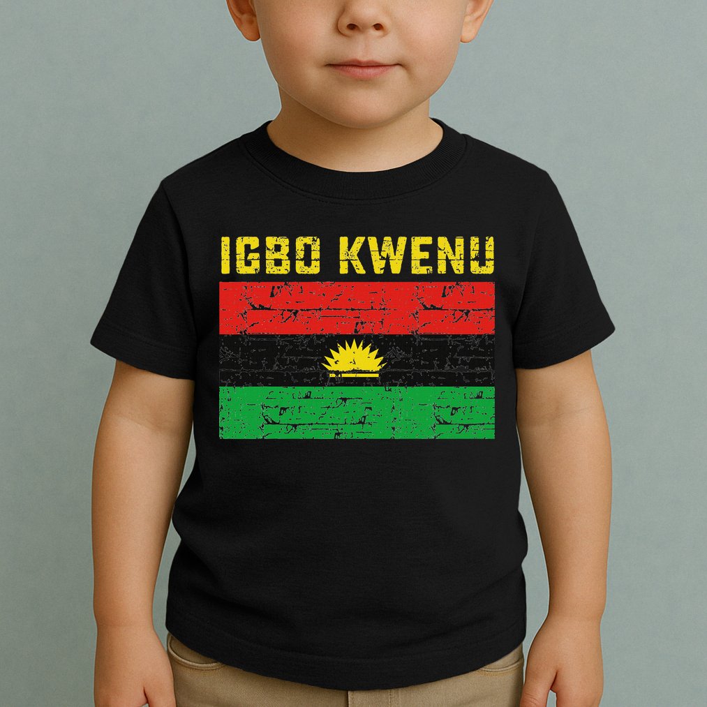 Biafran Flag Design Toddler T-Shirt