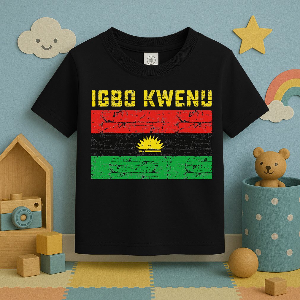Biafran Flag Design Toddler T-Shirt