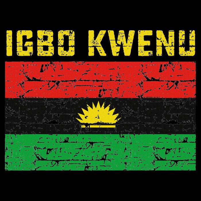 Biafran Flag Design Cropped Pullover Crew