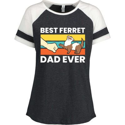 Best Ferret Dad Ever Enza Ladies Jersey Colorblock Tee