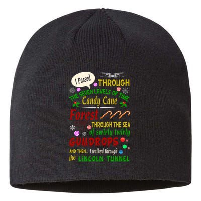 Buddy Funny Elf Christmas Candy Cane Forest, Sea Of Swirly Twirly Gum Drops, An Sustainable Beanie