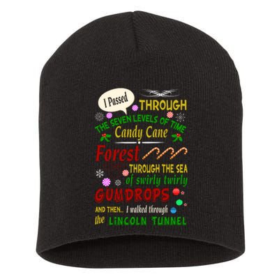 Buddy Funny Elf Christmas Candy Cane Forest, Sea Of Swirly Twirly Gum Drops, An Short Acrylic Beanie