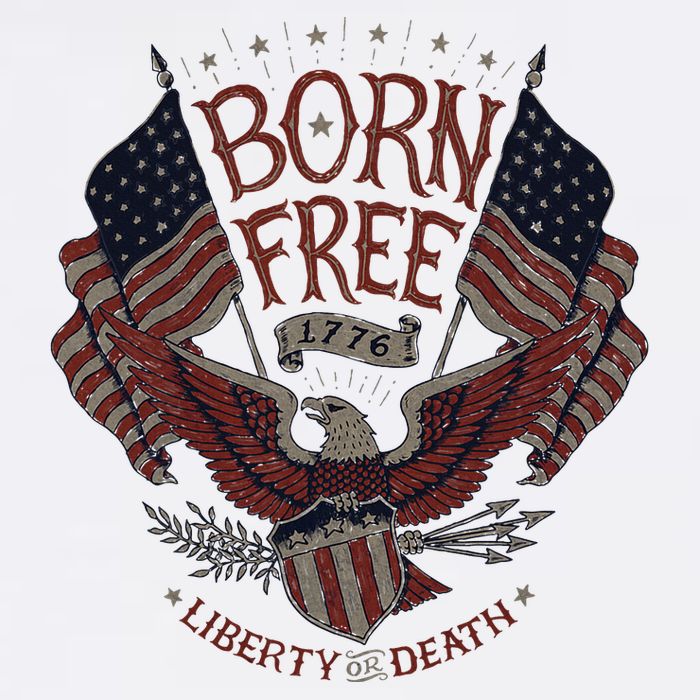 Born Free Eagle American Flag 1776 4th Of July Usa Wool Snapback Cap