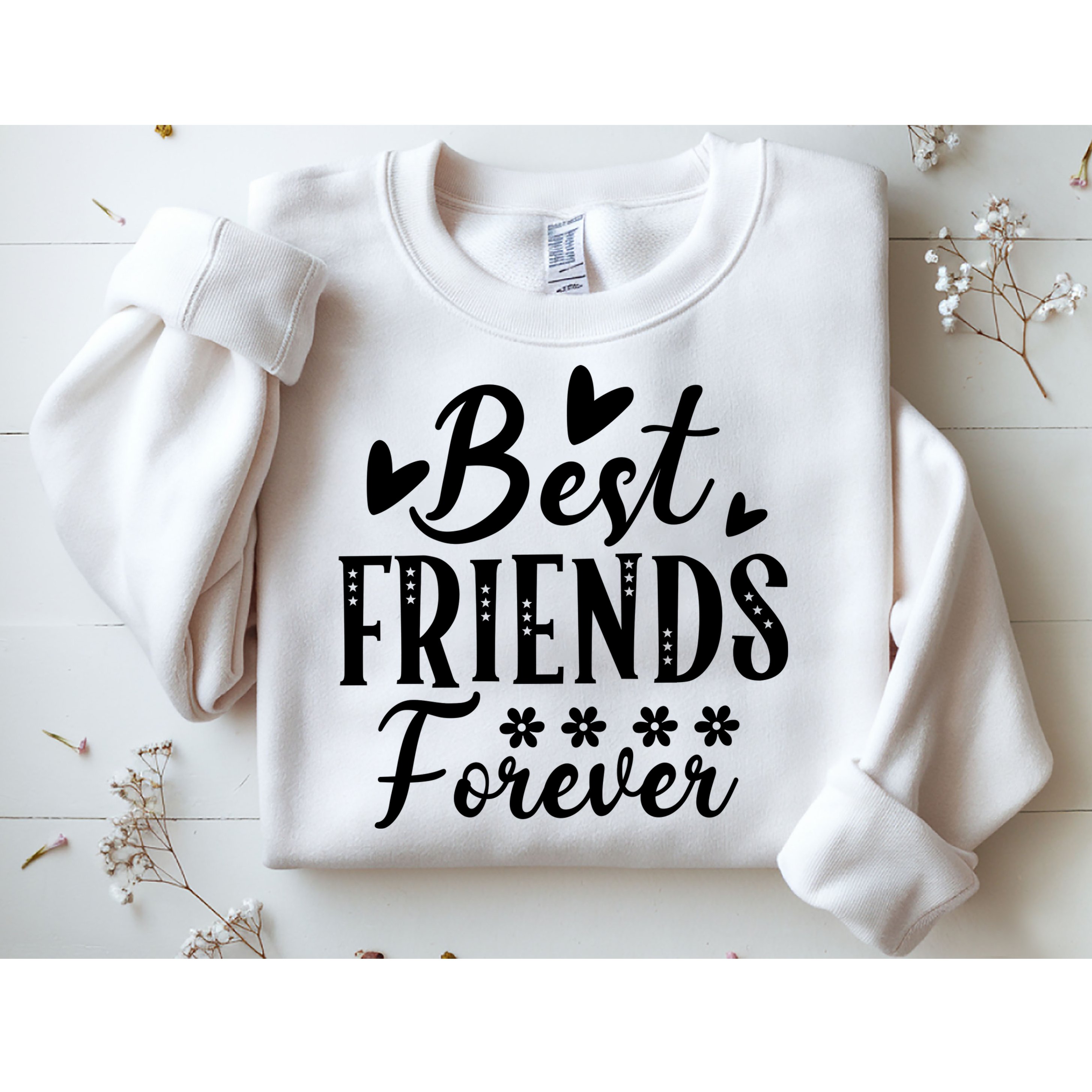 Best Friends Forever01 Sweatshirt