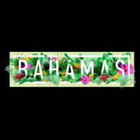 Bahamas Framed Floral Design 16 in Basic Backpack