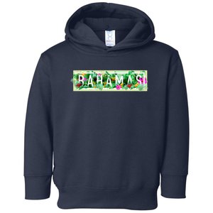 Bahamas Framed Floral Design Toddler Hoodie