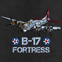 B17 Flying Fortress Bomber Adult Drive Performance Visor
