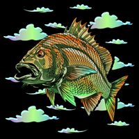 Bass Fishing Illustration River Hook Bag