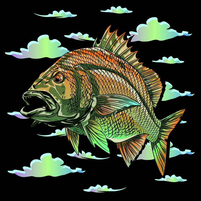 Bass Fishing Illustration River Hook Bag