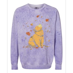 Bear Fall Leaf Tree Hello Autumn Thanksgiving Colorblast Crewneck Sweatshirt