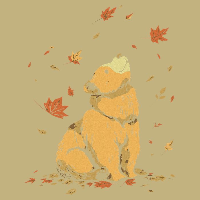 Bear Fall Leaf Tree Hello Autumn Thanksgiving Hoodie