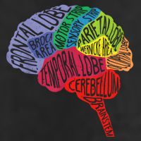 Brain Frontal Lobe Temporal Lobe Cerebellum Brainstem Funny Gift Cool Comfort Performance Bucket Hat