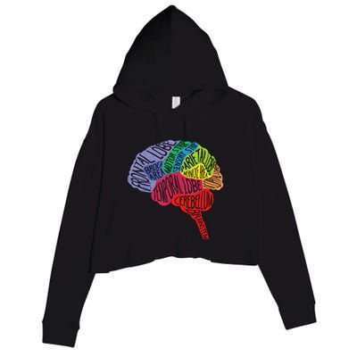 Brain Frontal Lobe Temporal Lobe Cerebellum Brainstem Funny Gift Crop Fleece Hoodie