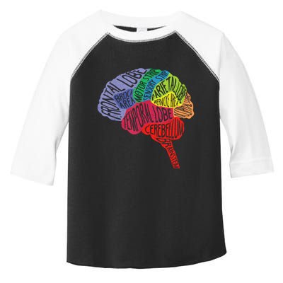 Brain Frontal Lobe Temporal Lobe Cerebellum Brainstem Funny Gift Toddler Fine Jersey T-Shirt