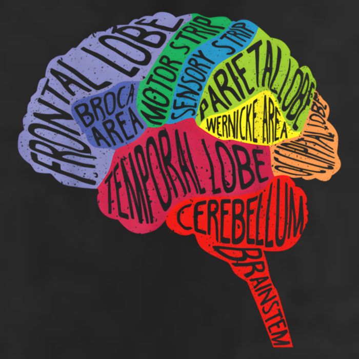 Brain Frontal Lobe Temporal Lobe Cerebellum Brainstem Funny Gift Golf Towel