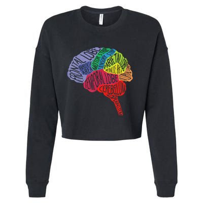 Brain Frontal Lobe Temporal Lobe Cerebellum Brainstem Funny Gift Cropped Pullover Crew