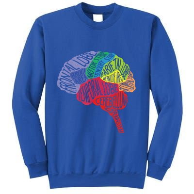 Brain Frontal Lobe Temporal Lobe Cerebellum Brainstem Funny Gift Sweatshirt