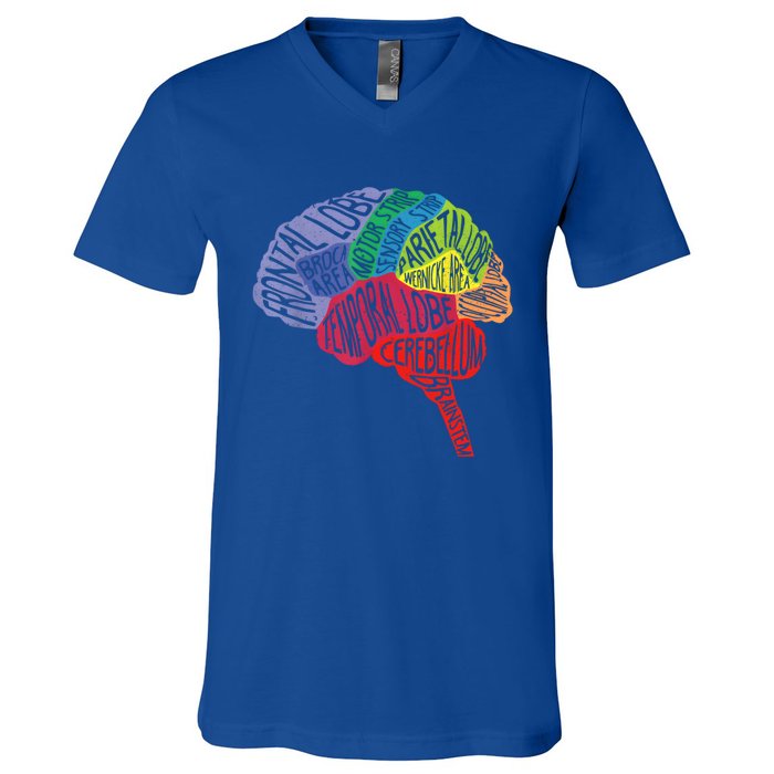 Brain Frontal Lobe Temporal Lobe Cerebellum Brainstem Funny Gift V-Neck T-Shirt