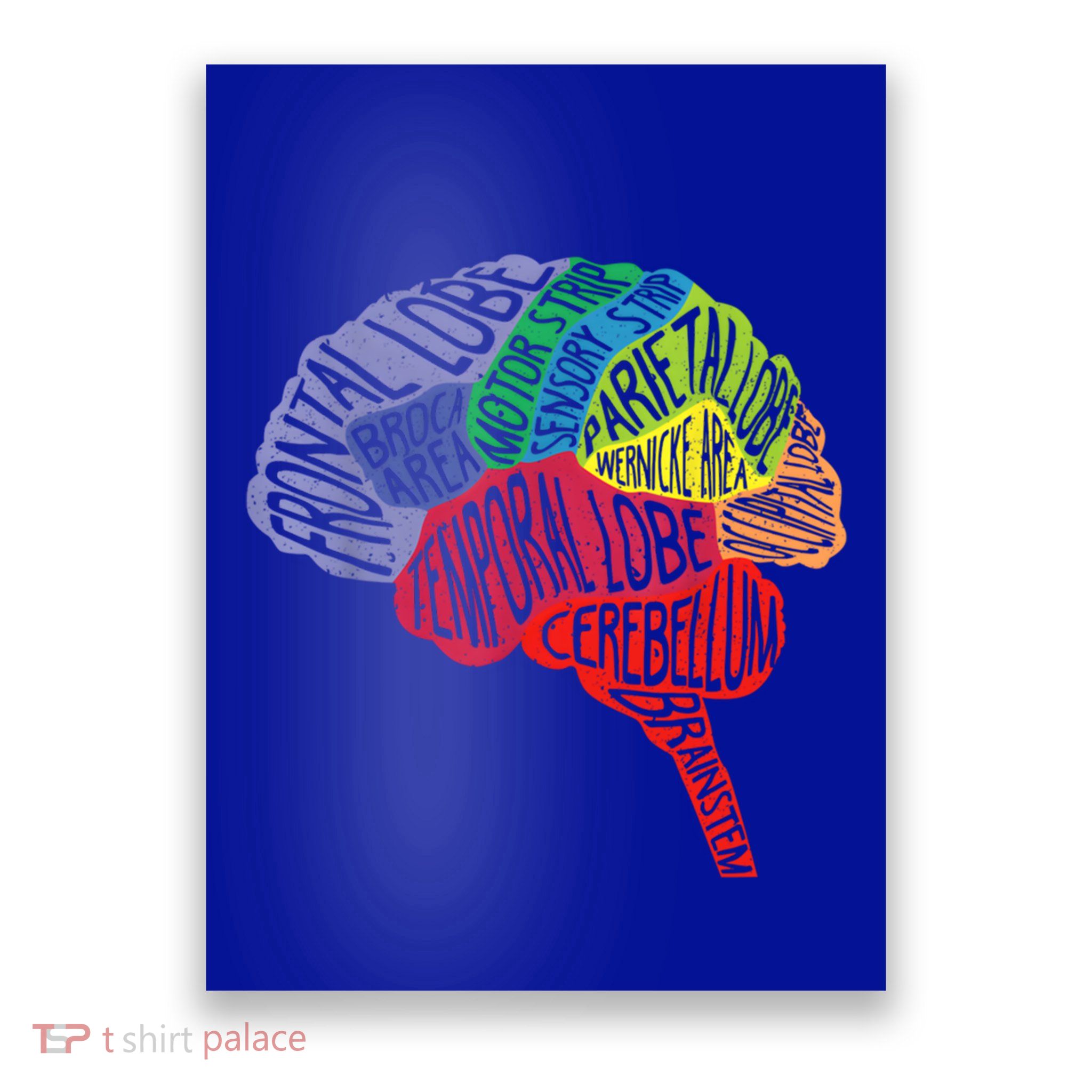 Brain Frontal Lobe Temporal Lobe Cerebellum Brainstem Funny Gift Poster