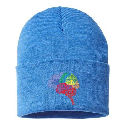 Brain Frontal Lobe Temporal Lobe Cerebellum Brainstem Funny Gift Sustainable Knit Beanie