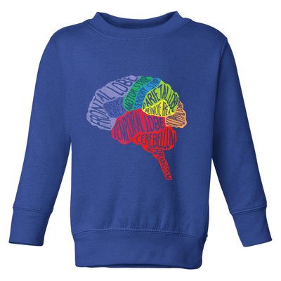 Brain Frontal Lobe Temporal Lobe Cerebellum Brainstem Funny Gift Toddler Sweatshirt
