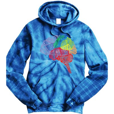 Brain Frontal Lobe Temporal Lobe Cerebellum Brainstem Funny Gift Tie Dye Hoodie