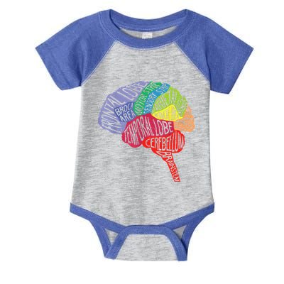 Brain Frontal Lobe Temporal Lobe Cerebellum Brainstem Funny Gift Infant Baby Jersey Bodysuit