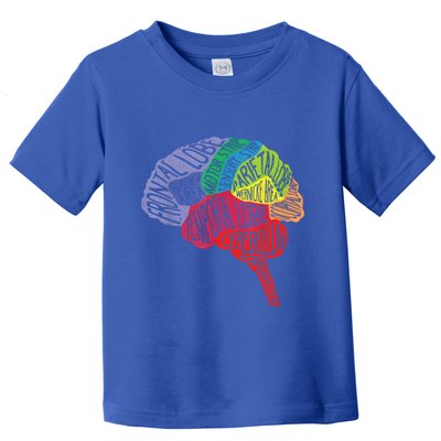 Brain Frontal Lobe Temporal Lobe Cerebellum Brainstem Funny Gift Toddler T-Shirt