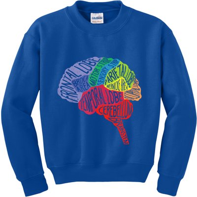 Brain Frontal Lobe Temporal Lobe Cerebellum Brainstem Funny Gift Kids Sweatshirt