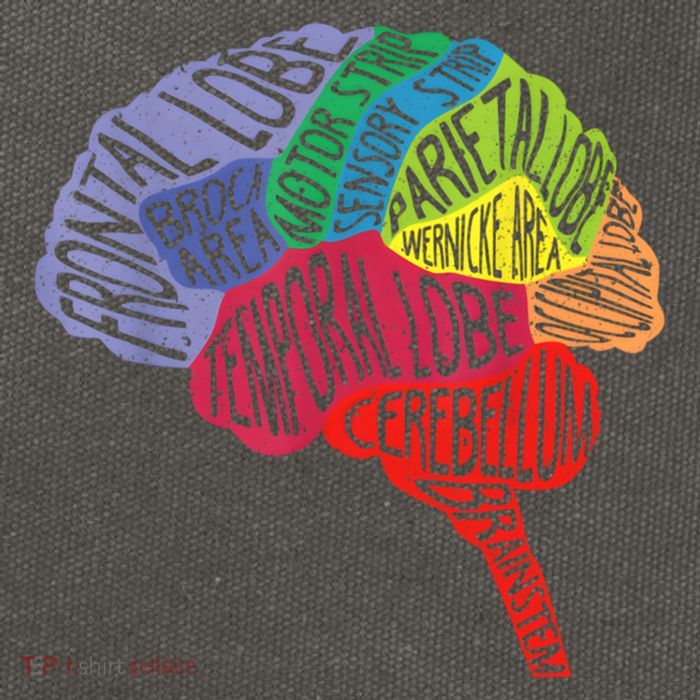 Brain Frontal Lobe Temporal Lobe Cerebellum Brainstem Funny Gift Cotton Canvas Backpack